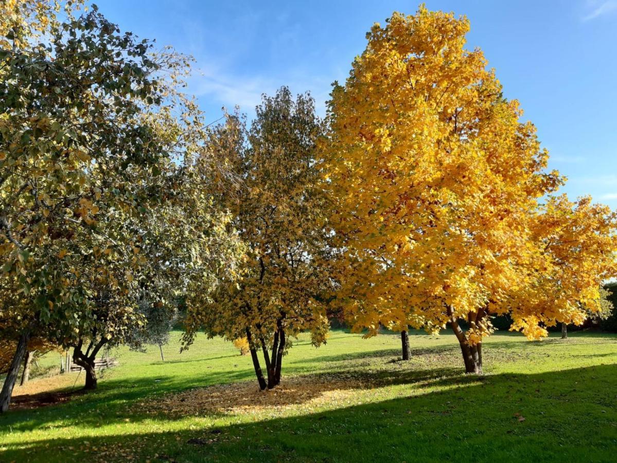 Villa Gatto In Vigna Susegana Exterior foto